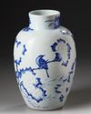 A CHINESE BLUE AND WHITE JAR, QING DYNASTY (1644-1911)