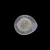 AN EARLY ISLAMIC GLASS WEIGHT OF HALF DIRHAM, 10TH-11TH CENTURY