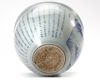 A CHINESE BLUE AND WHITE WATER POT, 19TH CENTURY