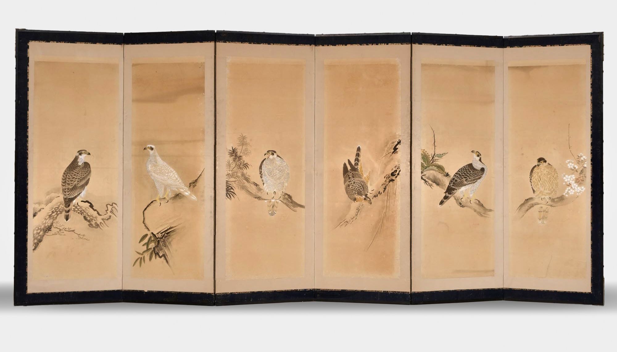 A LARGE JAPANESE SIX-PANEL SCREEN WITH HAWKS, LATE EDO PERIOD