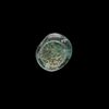 A FATIMID GLASS WEIGHT OF QUARTER DINAR, EGYPT AL-HAKIM BI-AMR ALLAH (386AH-411AH/ 996AD-1021AD)