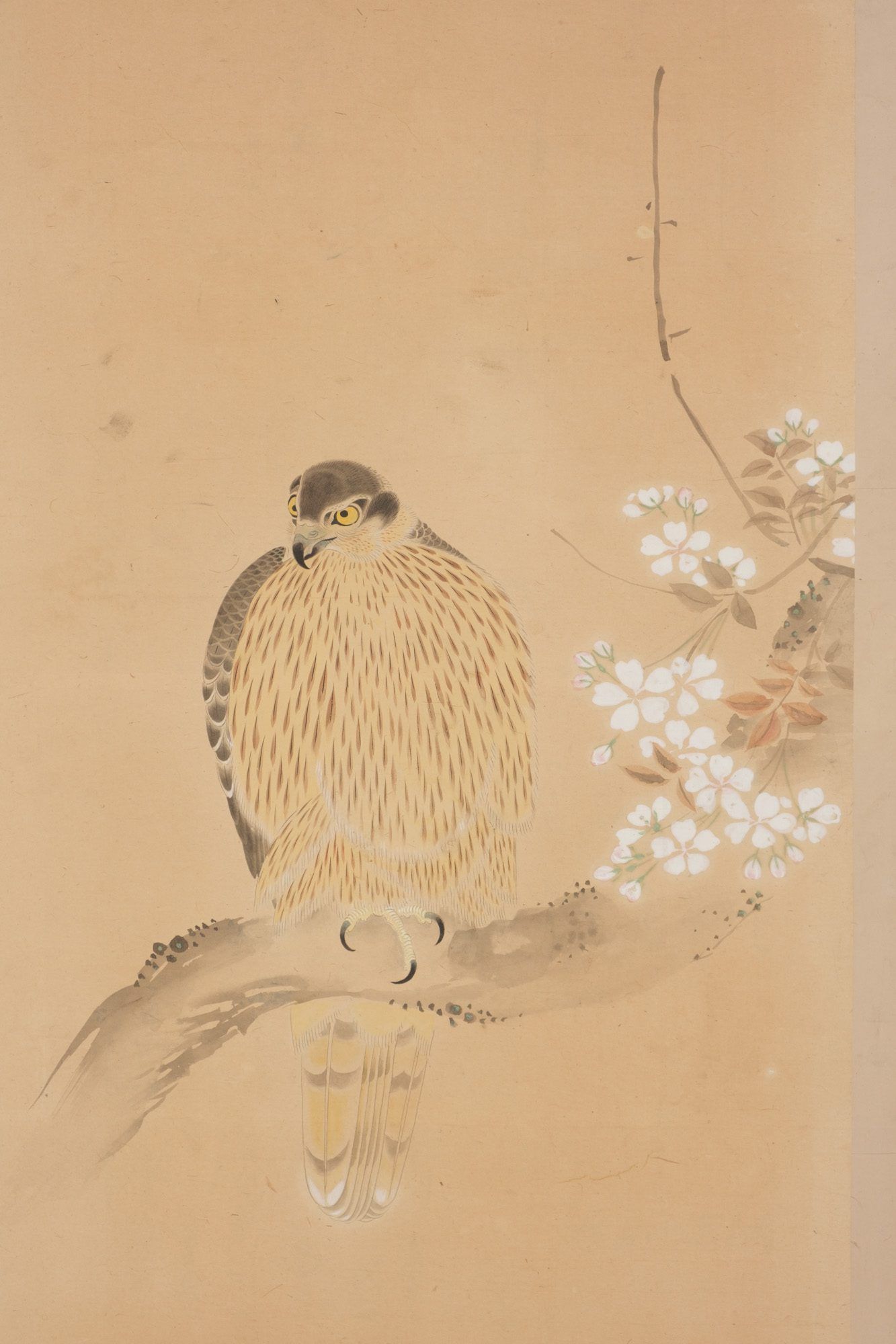 A LARGE JAPANESE SIX-PANEL SCREEN WITH HAWKS, LATE EDO PERIOD