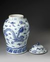 A CHINESE BLUE AND WHITE DRAGON VASE, 19TH CENTURY