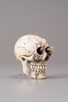 An Ivory memento mori skull