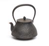 A Japanese cast-iron kettle (tetsubin)