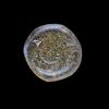AN EARLY ISLAMIC GLASS WEIGHT OF DIRHAM