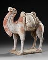 A CHINESE TERRACOTTA CAMEL, TANG DYNASTY (618-907 AD)