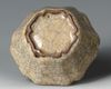 A CHINESE SMALL CRACKLE-GLAZED FLORIFORM WASHER 18TH-19TH CENTURY