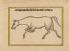 FIFTEEN ILLUSTRATED LEAVES FROM A MANUSCRIPT ON HORSES, INDIA, RAJASTHAN, 19TH CENTURY