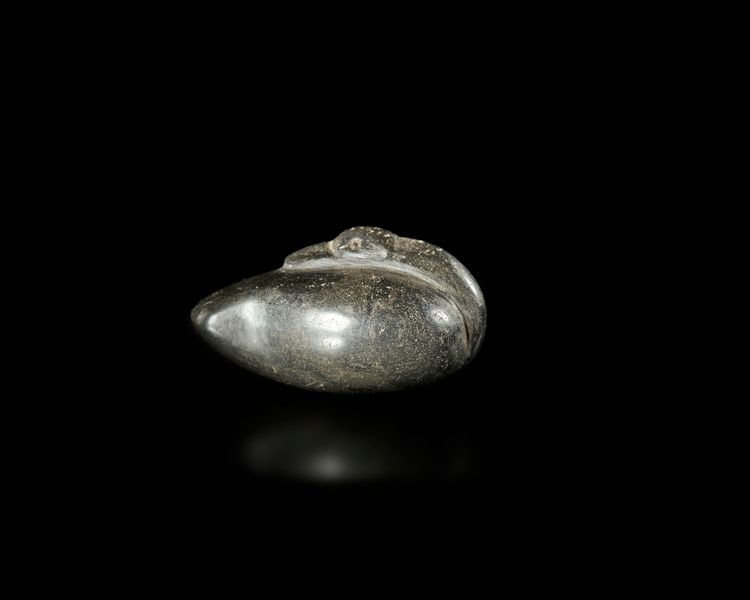 A WESTERN ASIATIC DARK STONE DUCK WEIGHT, CIRCA 2ND-EARLY 1ST MILLENNIUM BC OR LATER