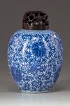 A Chinese blue and white lotus jar
