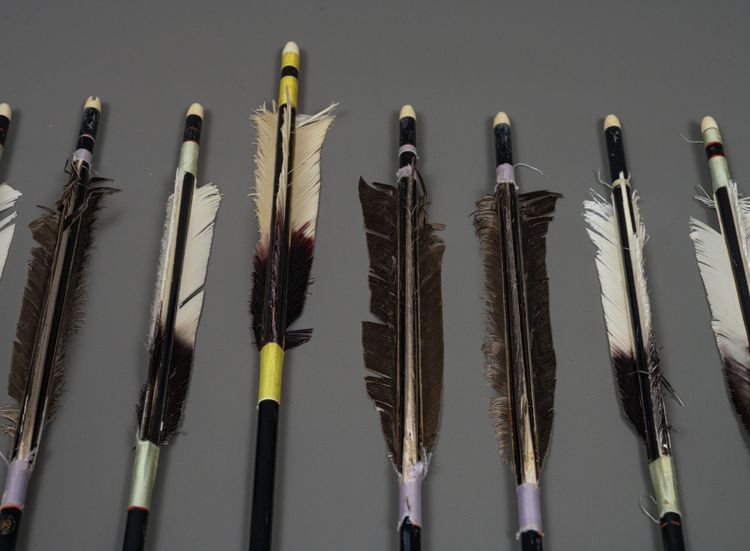 15 MODERN ARROWS IN A STAND