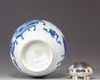 A Chinese blue and white jar