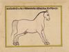 FIFTEEN ILLUSTRATED LEAVES FROM A MANUSCRIPT ON HORSES, INDIA, RAJASTHAN, 19TH CENTURY