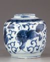 A Chinese blue and white jar