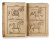 A PRINTED SALIHOTRI A TREATISE ON HORSES