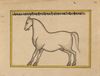 FIFTEEN ILLUSTRATED LEAVES FROM A MANUSCRIPT ON HORSES, INDIA, RAJASTHAN, 19TH CENTURY