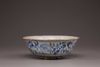A blue and white Yuan bowl