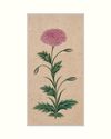 A STUDY OF A PURPLE DOUBLE-FLOWERED POPPY, INDIA, MUGHAL, DECCAN OR POSSIBLY KISHANGARH, 17TH CENTURY