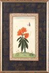 THREE INDIAN BOTANICAL PAINTINGS WITH BUTTERFLIES