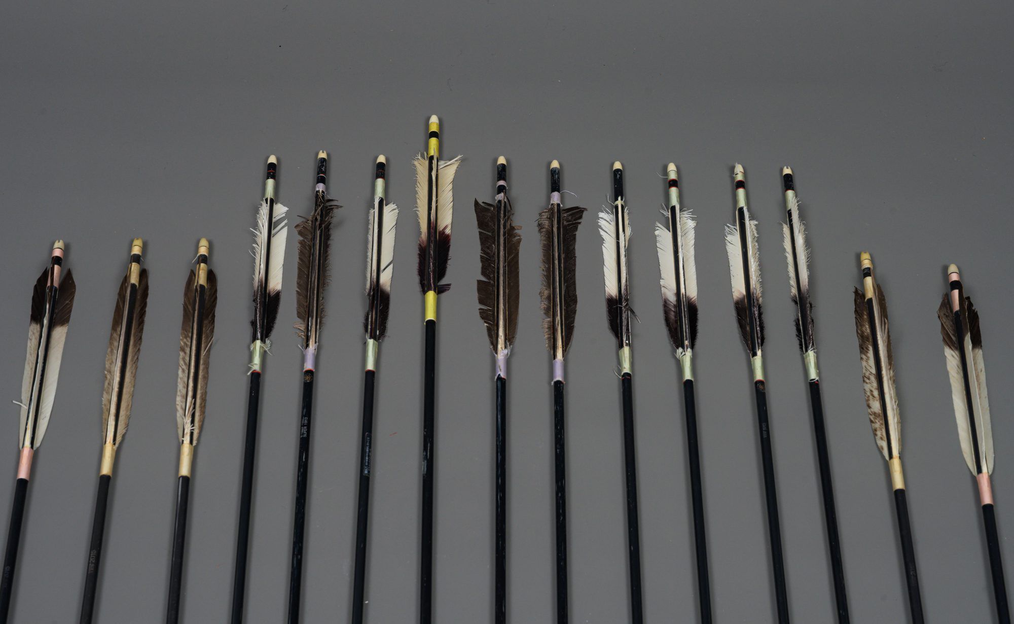 15 MODERN ARROWS IN A STAND