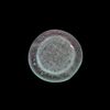AN EARLY ISLAMIC GLASS WEIGHT OF HALF DIRHAM