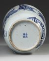 A CHINESE BLUE AND WHITE VASE, QING DYNASTY (1644-1911)