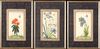 THREE INDIAN BOTANICAL PAINTINGS WITH BUTTERFLIES