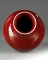 A CHINESE 'SANG DE BOEUF' GLAZED VASE, 18TH-19TH CENTURY