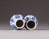 Two small blue and white Kangxi vases