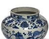 A CHINESE BLUE AND WHITE BUDDHIST LIONS JAR