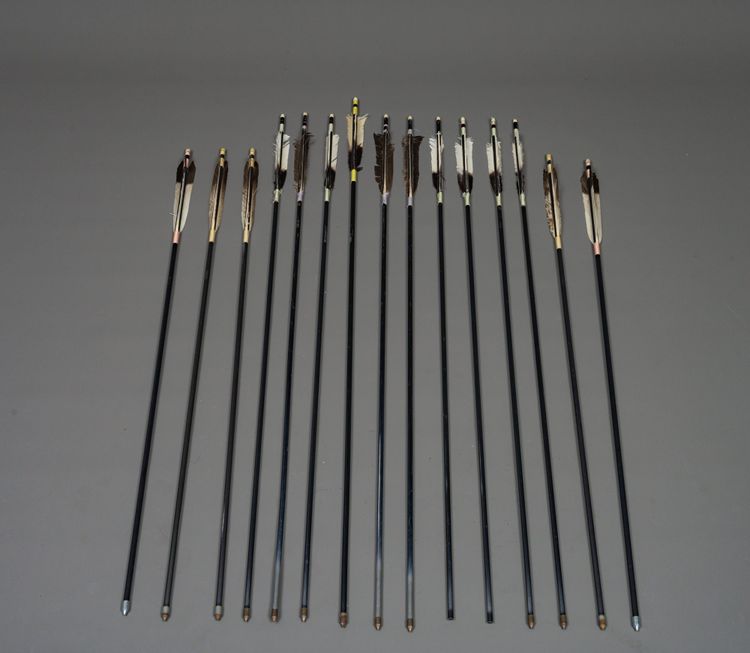 15 MODERN ARROWS IN A STAND