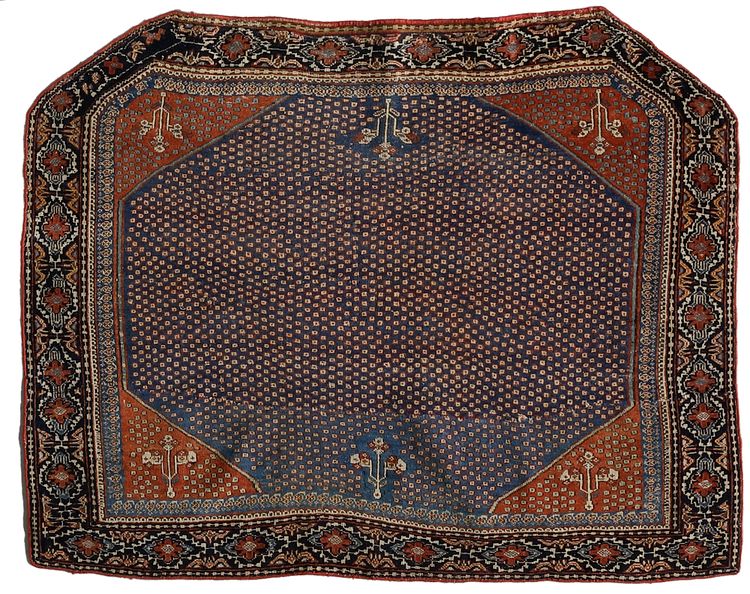 A SENNEHE HORSECOVER