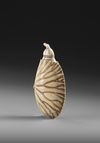 A CHINESE CARVED SNUFF BOTTLE, 19TH CENTURY