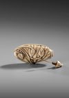 A CHINESE CARVED SNUFF BOTTLE, 19TH CENTURY