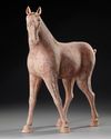 A CHINESE TERRACOTTA HORSE, TANG DYNASTY ( 618-906 AD)