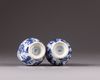 Two small blue and white Kangxi vases