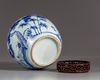 A Chinese blue and white pot