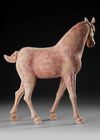 A CHINESE TERRACOTTA HORSE, TANG DYNASTY ( 618-906 AD)