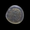 AN EARLY ISLAMIC GLASS WEIGHT OF DOUBLE DIRHAM, 10TH-11TH CENTURY