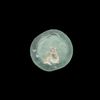 AN EARLY ISLAMIC GLASS WEIGHT OF HALF DIRHAM