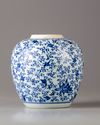 A Chinese blue and white jar