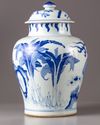 A Chinese blue and white 'dragon' jar and cover