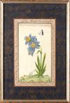 THREE INDIAN BOTANICAL PAINTINGS WITH BUTTERFLIES