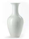 A CHINESE FAMILLE ROSE VASE