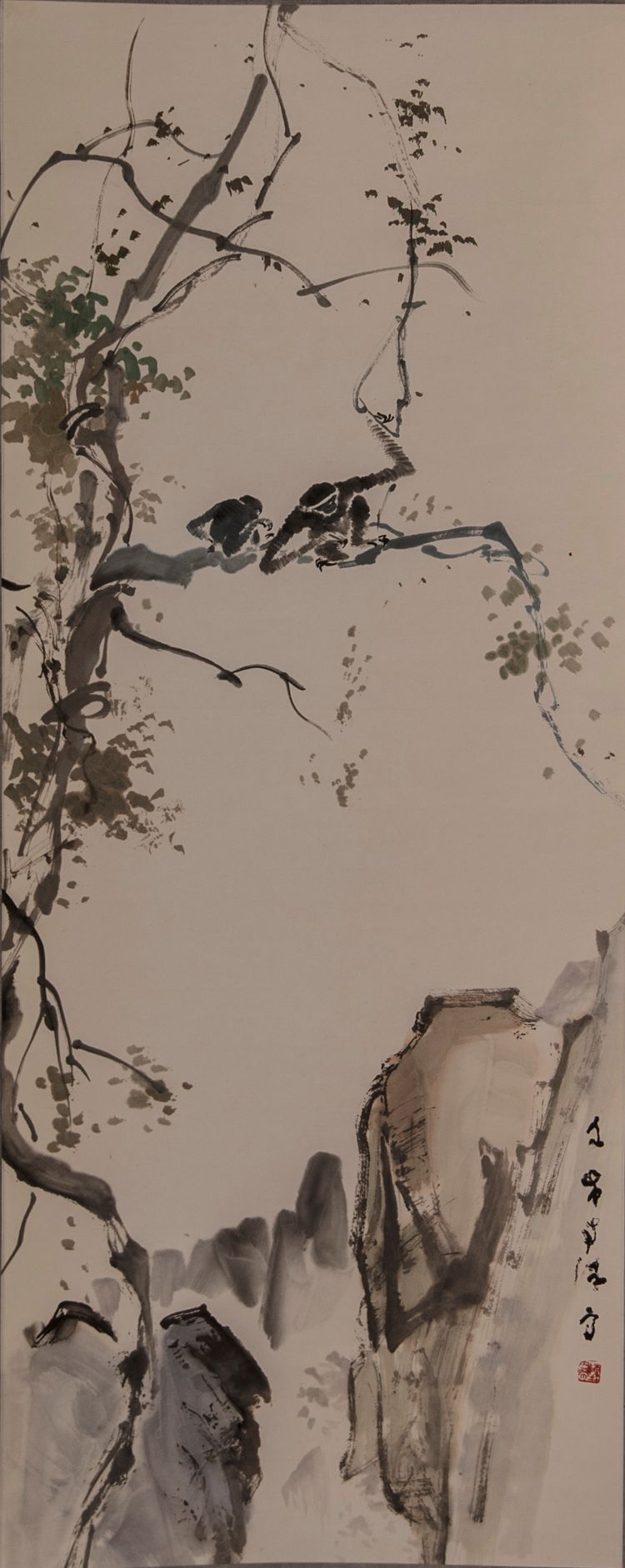 Gibbons