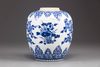 A Chinese blue and white jar
