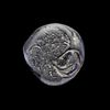 AN EARLY ISLAMIC GLASS WEIGHT OF DOUBLE DIRHAM, 10TH-11TH CENTURY