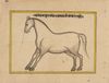 FIFTEEN ILLUSTRATED LEAVES FROM A MANUSCRIPT ON HORSES, INDIA, RAJASTHAN, 19TH CENTURY