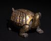 A CHINESE BRONZE TORTOISE CONTAINER